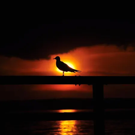 Ostseele - Julchen Timmendorfer Strand