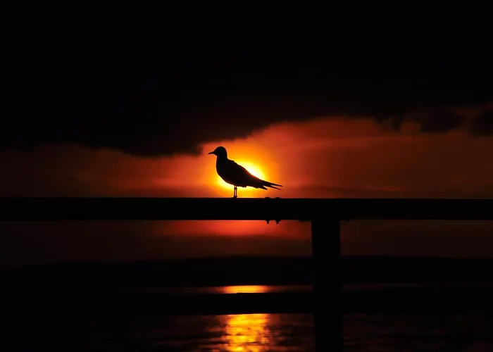 Ostseele - Julchen Timmendorfer Strand